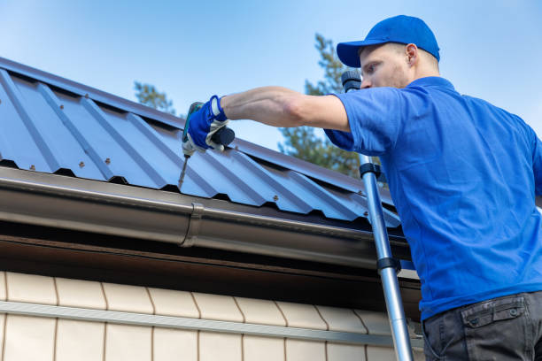 Best Gutter Installation and Repair  in Forsyth, MT