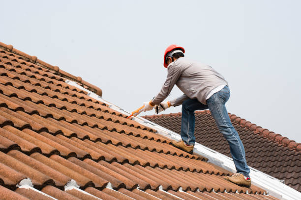 Best Flat Roofing  in Forsyth, MT
