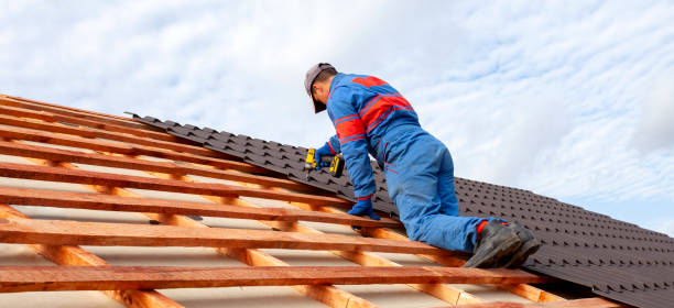 Best Roof Moss and Algae Removal  in Forsyth, MT