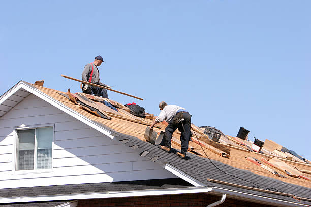 Best Roof Installation  in Forsyth, MT
